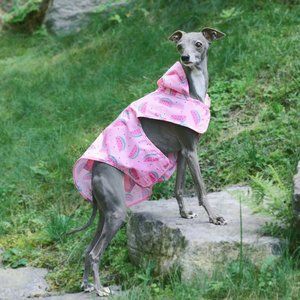Canada Pooch Watermelon Raincoat